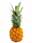 09062206: Fresh Ananas Victoria 1pc