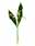 09132454: Lily Flower Pipette Plastique 3 Strands VNx50