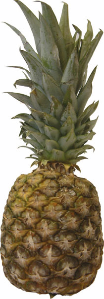fresh-pineapples.jpg