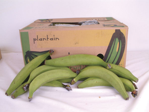 plantains-green.jpg