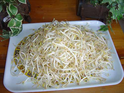 soyabean-sprouts.jpg
